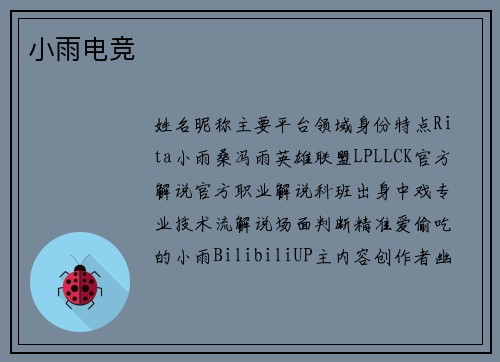 小雨电竞